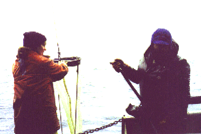 Environmental Studies