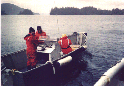 Coastal Bird Count Expedition